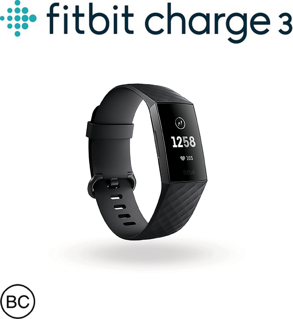 Manual Fitbit Charge Hr